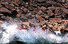 Grand Canyon West White Water Adventure Rafting